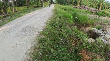 Perak, Malezya. 11 Şubat 2026: Kgkoh çiftliğindeki kırsal yol tarlası boyunca çok hızlı giden bir aracın manzara görüntüleri.