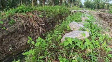 Perak, Malezya. 11 Şubat 2026: Kgkoh çiftliğindeki kırsal yol tarlası boyunca çok hızlı giden bir aracın manzara görüntüleri.