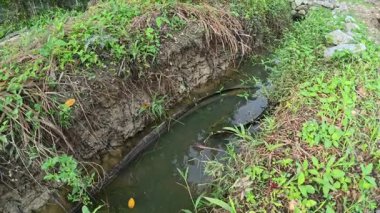 Perak, Malezya. 11 Şubat 2026: Kgkoh çiftliğindeki kırsal yol tarlası boyunca çok hızlı giden bir aracın manzara görüntüleri.