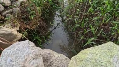 Kuru mevsim hendek drenaj sisteminin saban arazisindeki manzara görüntüleri..