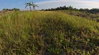 Kırsal yolda ya da patikada yürümenin ileri hareket görüntüleri.
