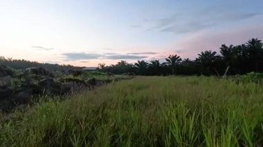 Kırsal yolda ya da patikada yürümenin ileri hareket görüntüleri.