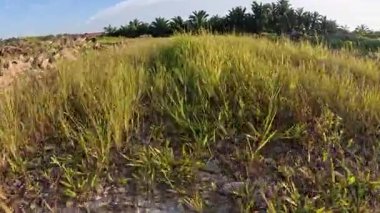 Kırsal yolda ya da patikada yürümenin ileri hareket görüntüleri.