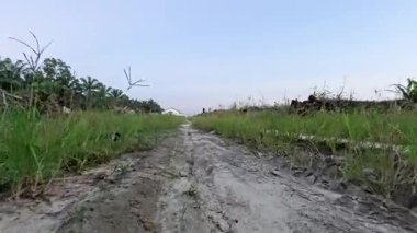 Kırsal yolda ya da patikada yürümenin ileri hareket görüntüleri.