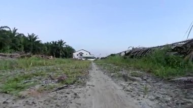 Kırsal yolda ya da patikada yürümenin ileri hareket görüntüleri.