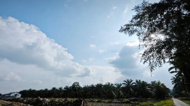 Asya çiftliğindeki parlak, tüylü mavi gökyüzü manzarasının etkinliği ve gündüz manzarası.