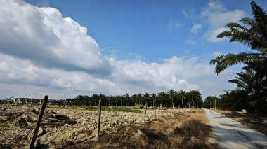 Asya çiftliğindeki parlak, tüylü mavi gökyüzü manzarasının etkinliği ve gündüz manzarası.