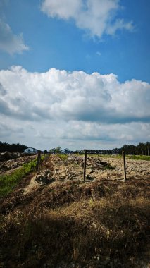 Asya çiftliğindeki parlak, tüylü mavi gökyüzü manzarasının etkinliği ve gündüz manzarası.
