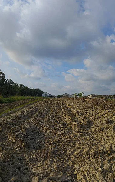 Asya çiftliğindeki parlak, tüylü mavi gökyüzü manzarasının etkinliği ve gündüz manzarası.