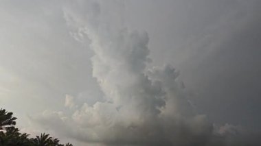 Asya çiftliğindeki parlak, tüylü mavi gökyüzü manzarasının etkinliği ve gündüz manzarası.
