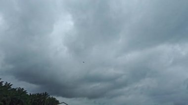 Asya çiftliğindeki parlak, tüylü mavi gökyüzü manzarasının etkinliği ve gündüz manzarası.