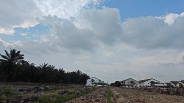 Asya çiftliğindeki parlak, tüylü mavi gökyüzü manzarasının etkinliği ve gündüz manzarası.