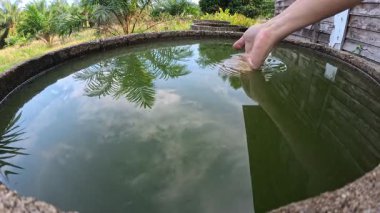 Suda yıkanan bir insan elinin görüntüsü..