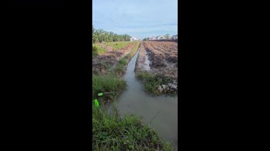 Çiftlik arazisinin çevresindeki manzaranın dikey görüntüsü yağmur suyuyla dolmuş..