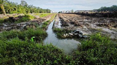 Çiftlik arazisi çevresindeki manzara yağmur suyuyla dolmuştu..