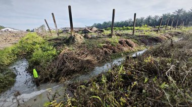 Çiftlik arazisi çevresindeki manzara yağmur suyuyla dolmuştu..