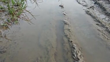 Çiftlik arazisi çevresindeki manzara yağmur suyuyla dolmuştu..