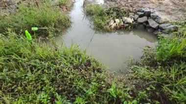 Çiftlik arazisi çevresindeki manzara yağmur suyuyla dolmuştu..