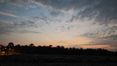 Saban sürülüp gençleşmeye terk edildikten sonra huzurlu tarım kırsalında şafak vakti güzel gökyüzü..