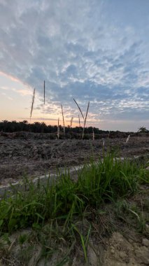 Saban sürülüp gençleşmeye terk edildikten sonra huzurlu tarım kırsalında şafak vakti güzel gökyüzü..