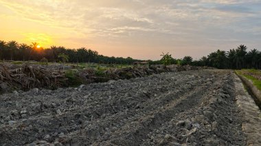 Saban sürülüp gençleşmeye terk edildikten sonra huzurlu tarım kırsalında şafak vakti güzel gökyüzü..