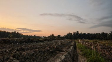 Saban sürülüp gençleşmeye terk edildikten sonra huzurlu tarım kırsalında şafak vakti güzel gökyüzü..