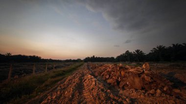 Saban sürülüp gençleşmeye terk edildikten sonra huzurlu tarım kırsalında şafak vakti güzel gökyüzü..