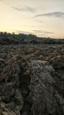 Saban sürülüp gençleşmeye terk edildikten sonra huzurlu tarım kırsalında şafak vakti güzel gökyüzü..