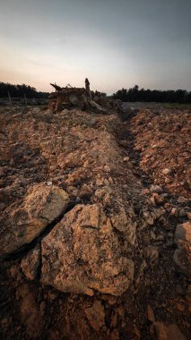 Saban sürülüp gençleşmeye terk edildikten sonra huzurlu tarım kırsalında şafak vakti güzel gökyüzü..