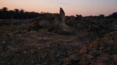 Saban sürülüp gençleşmeye terk edildikten sonra huzurlu tarım kırsalında şafak vakti güzel gökyüzü..