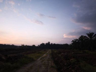 Saban sürülüp gençleşmeye terk edildikten sonra huzurlu tarım kırsalında şafak vakti güzel gökyüzü..