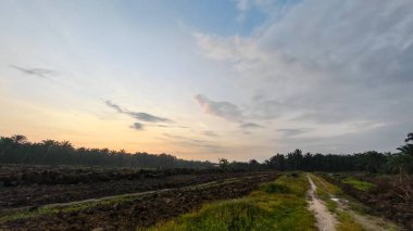 Saban sürülüp gençleşmeye terk edildikten sonra huzurlu tarım kırsalında şafak vakti güzel gökyüzü..