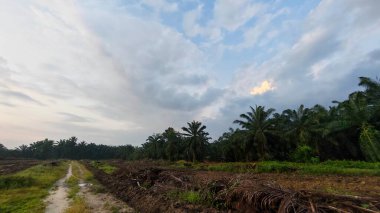 Saban sürülüp gençleşmeye terk edildikten sonra huzurlu tarım kırsalında şafak vakti güzel gökyüzü..