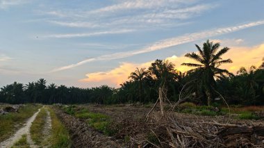 Saban sürülüp gençleşmeye terk edildikten sonra huzurlu tarım kırsalında şafak vakti güzel gökyüzü..