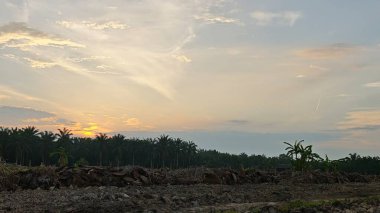 Saban sürülüp gençleşmeye terk edildikten sonra huzurlu tarım kırsalında şafak vakti güzel gökyüzü..