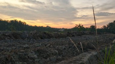 Saban sürülüp gençleşmeye terk edildikten sonra huzurlu tarım kırsalında şafak vakti güzel gökyüzü..