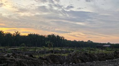Saban sürülüp gençleşmeye terk edildikten sonra huzurlu tarım kırsalında şafak vakti güzel gökyüzü..