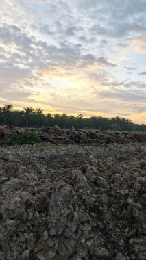Saban sürülüp gençleşmeye terk edildikten sonra huzurlu tarım kırsalında şafak vakti güzel gökyüzü..
