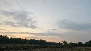 Saban sürülüp gençleşmeye terk edildikten sonra huzurlu tarım kırsalında şafak vakti güzel gökyüzü..