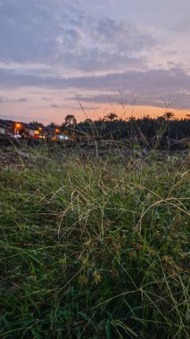 Saban sürülüp gençleşmeye terk edildikten sonra huzurlu tarım kırsalında şafak vakti güzel gökyüzü..