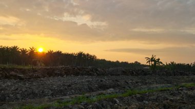 Saban sürülüp gençleşmeye terk edildikten sonra huzurlu tarım kırsalında şafak vakti güzel gökyüzü..