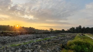 Saban sürülüp gençleşmeye terk edildikten sonra huzurlu tarım kırsalında şafak vakti güzel gökyüzü..