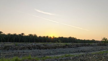 Saban sürülüp gençleşmeye terk edildikten sonra huzurlu tarım kırsalında şafak vakti güzel gökyüzü..