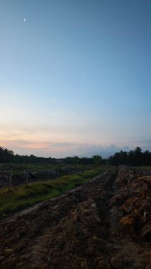 Saban sürülüp gençleşmeye terk edildikten sonra huzurlu tarım kırsalında şafak vakti güzel gökyüzü..