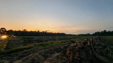 Saban sürülüp gençleşmeye terk edildikten sonra huzurlu tarım kırsalında şafak vakti güzel gökyüzü..