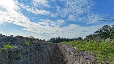 Kanalizasyon deliğinin duvarları arasında filizlenen bitki ya da otların görüntüleri..