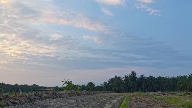 Banliyöde bulunan saban sürdükten sonra huzurlu tarım kırsalında sabahın erken saatlerinde gökyüzü.