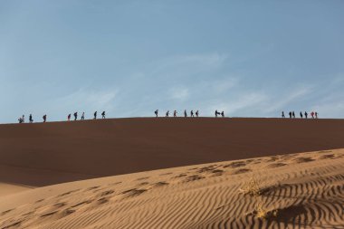 Bir grup turist mavi gökyüzünün arka planına karşı kum tepesi boyunca yürüyorlar. Namibya