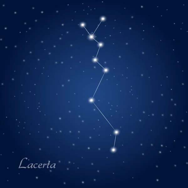 Constelación de estrellas Lacerta — Vector de stock