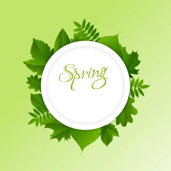 Tavaszi zöld háttér — Stock Vector